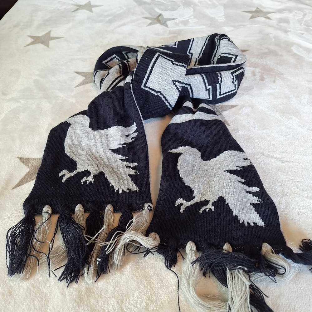Harry Potter Branded Ravenclaw Blue & Gray Knit Scarf Fringe Fall Winter Soft